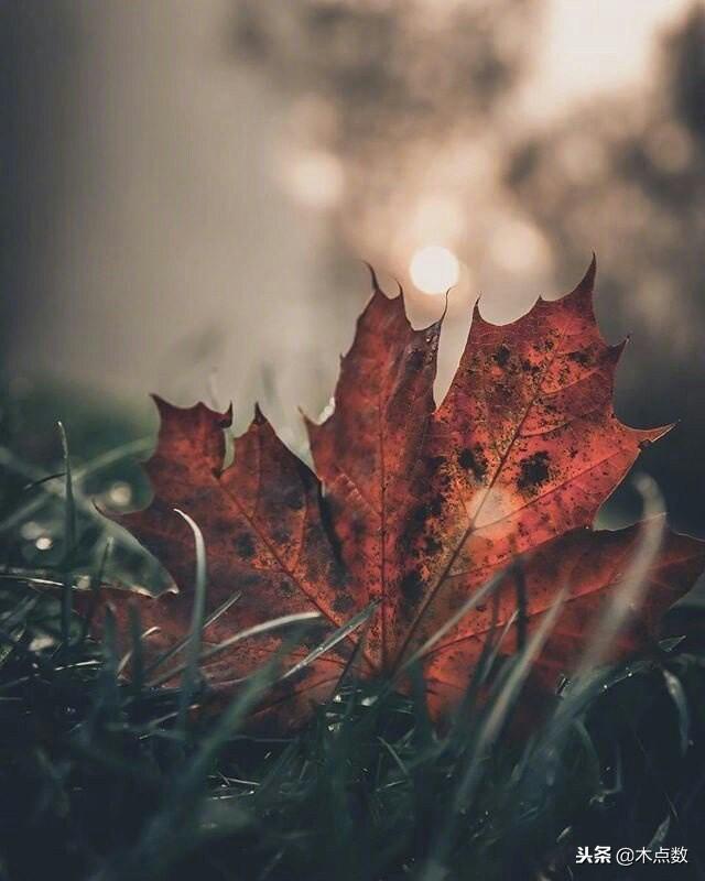 快乐八开奖，今日的幸运之选今天快乐八开奖结果 开奖号码