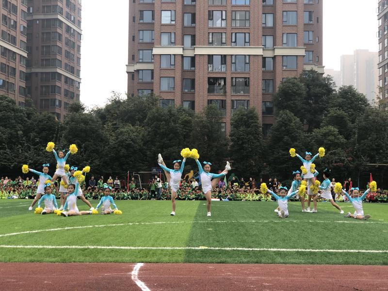 今天的快乐八开奖号码揭秘，探寻幸运的奥秘今天的快乐八开奖结果是多少