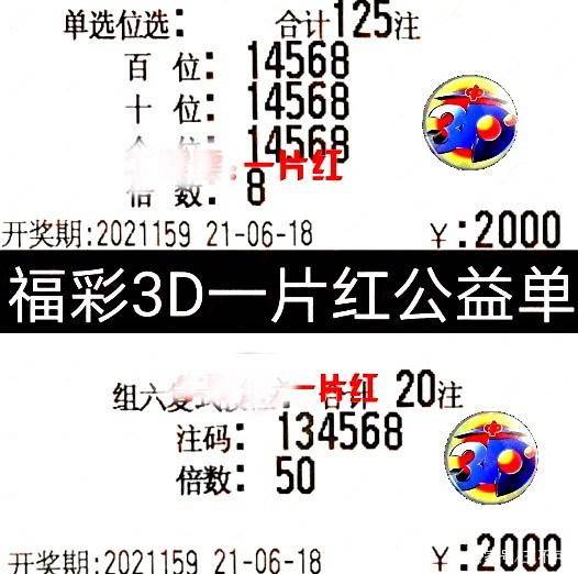 2048年福彩3D焰舞字谜，揭秘数字背后的文化与智慧2021年3d204期焰舞字谜