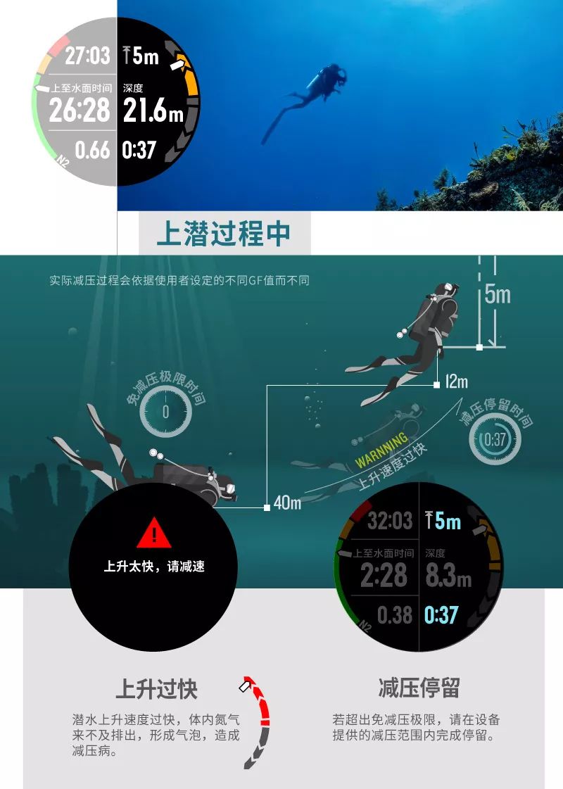 探索17502乐彩电脑版本的奥秘与魅力17500cn乐彩网电脑版的