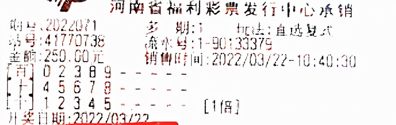 视觉盛宴