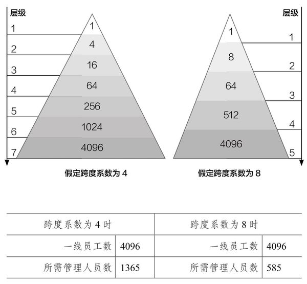 跨度名词解释,从微观到宏观的全面解析管理跨度名词解释
